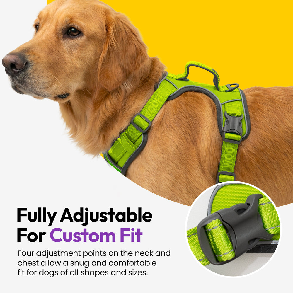 Explorer Harness, Green