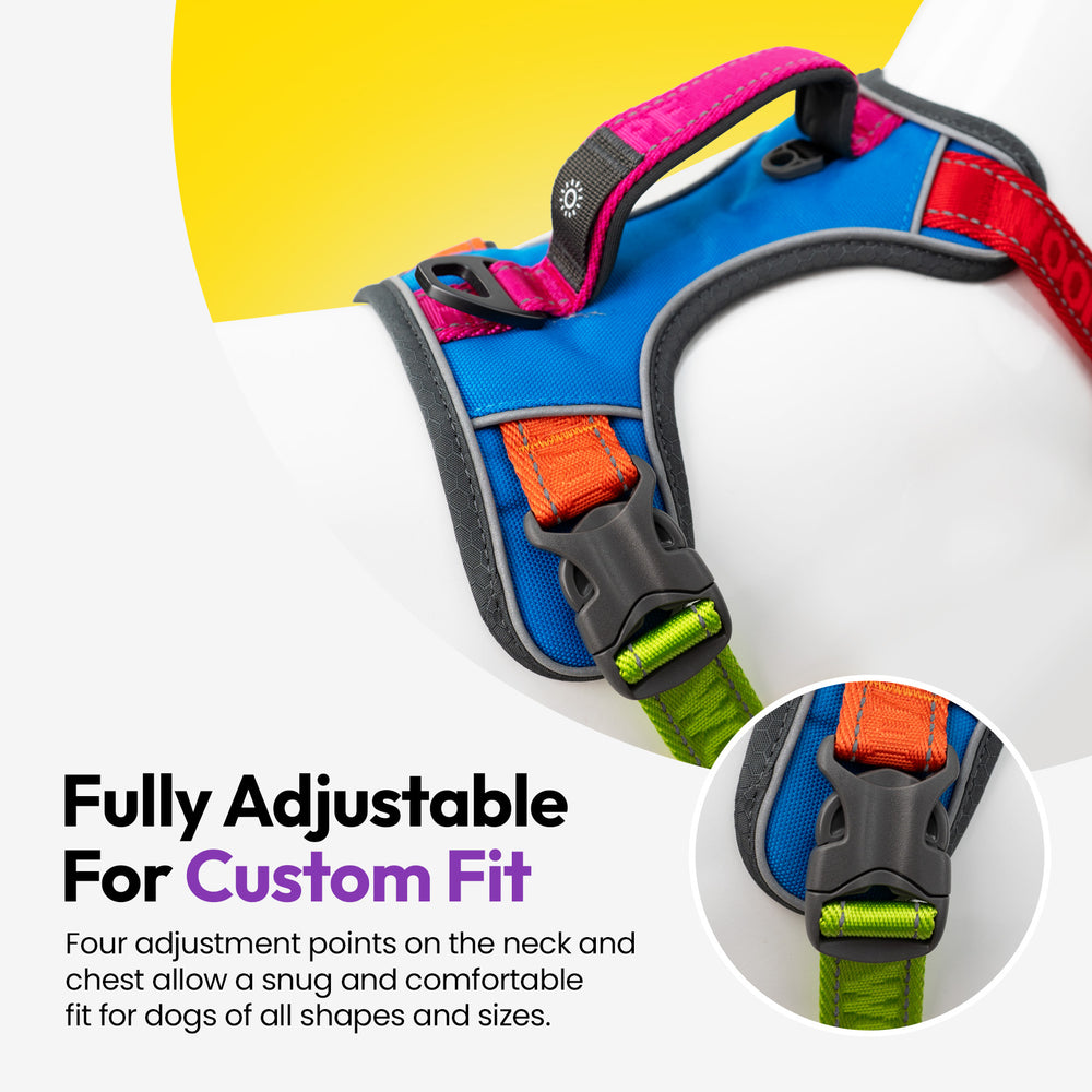 Explorer Harness, Rainbow