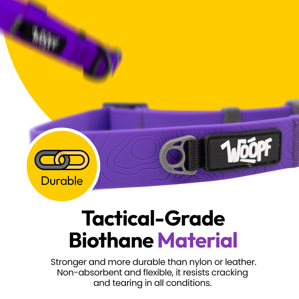 Sealskin Collar, Purple