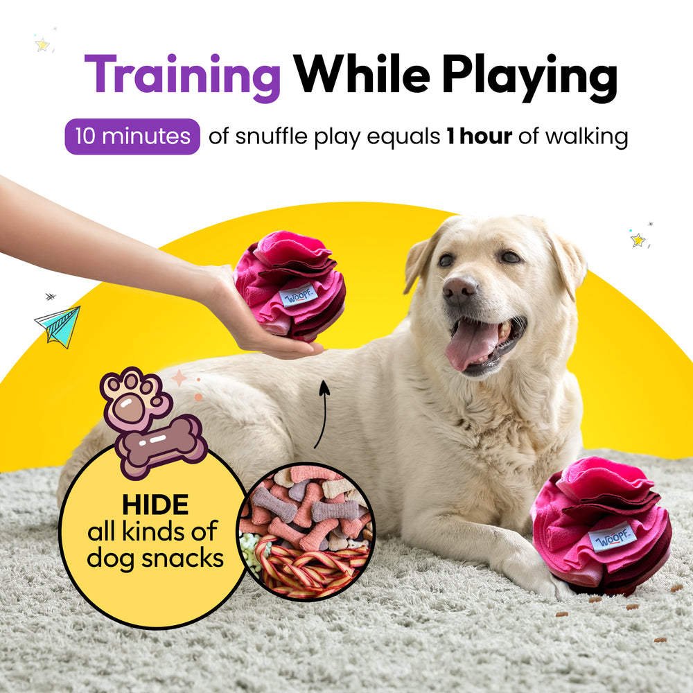 Snuffle Ball, Pink