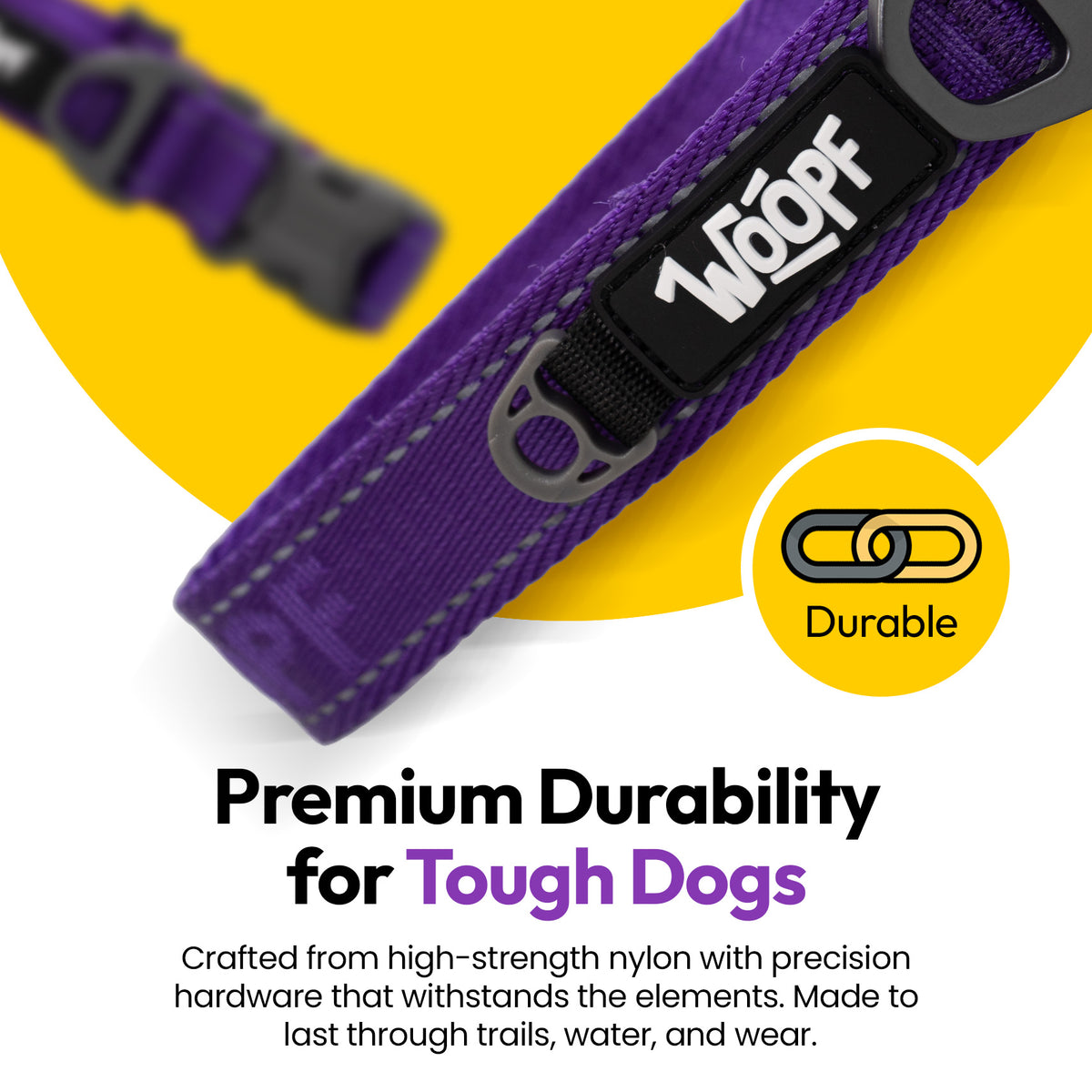 Purple | Explorer Collar: Close-up of the Purple collar's buckle and D-ring, on a card headed Premium Durability for Tough Dogs