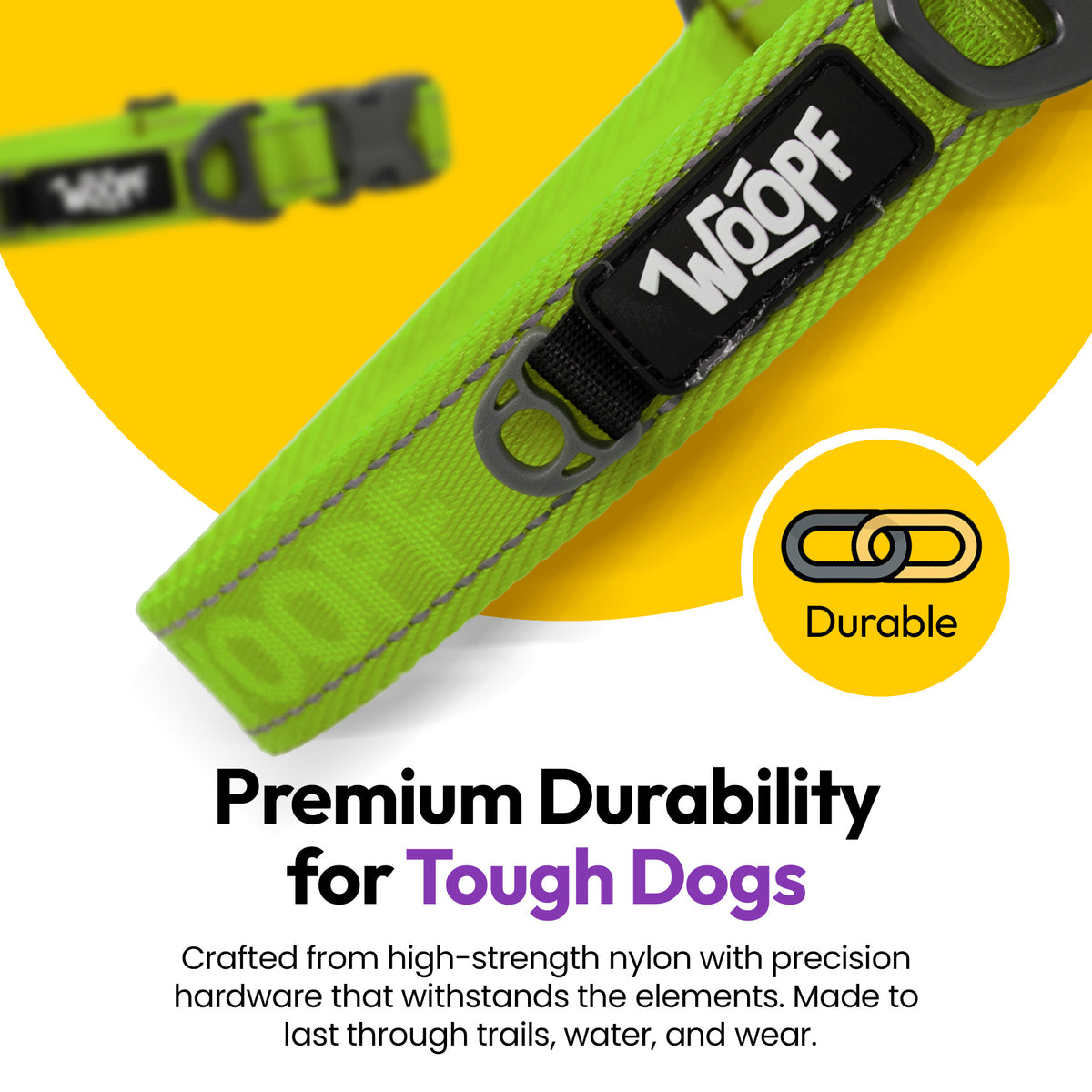 Green | Explorer Collar: Close-up of the Green collar's buckle and D-ring, on a card headed Premium Durability for Tough Dogs