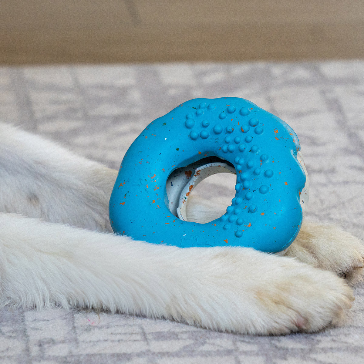 Blue | Chewster Donut: The Blue ring between a dog's paws on a grey rug