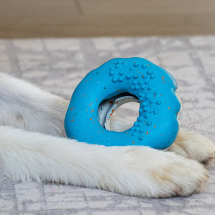 Chewster Donut