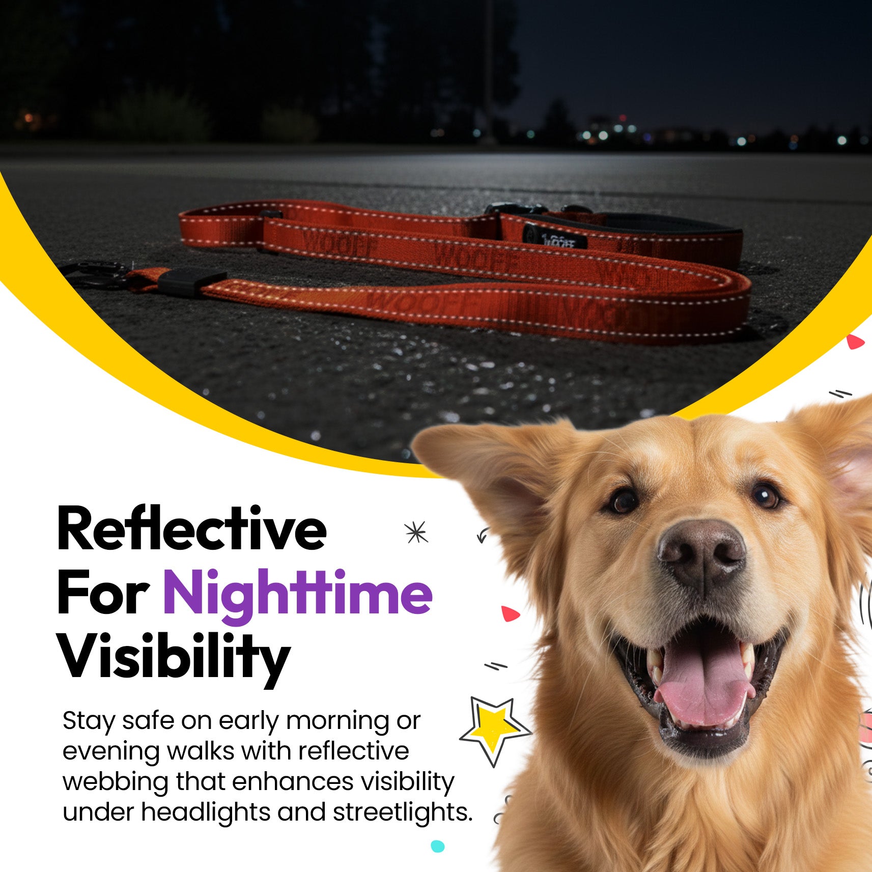 Laisse extensible Explorateur