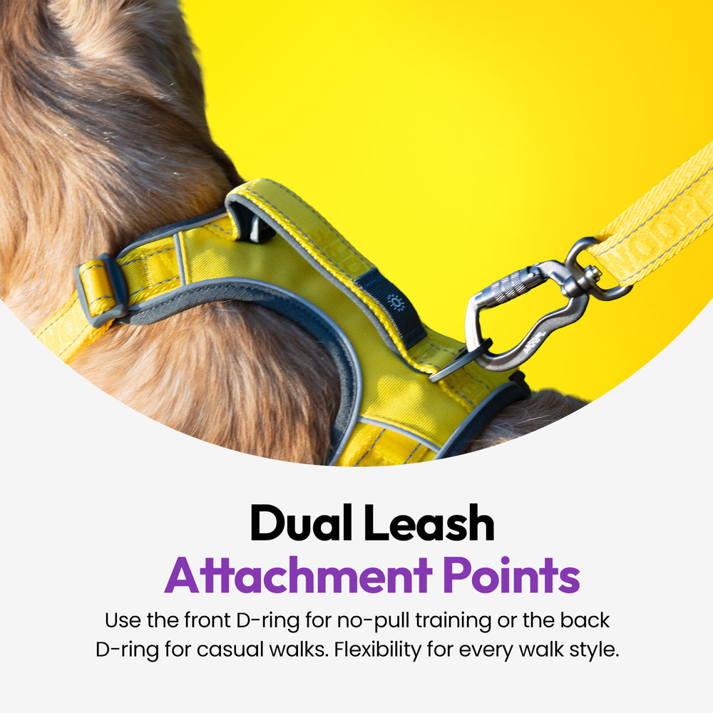 Explorer Harness, Yellow