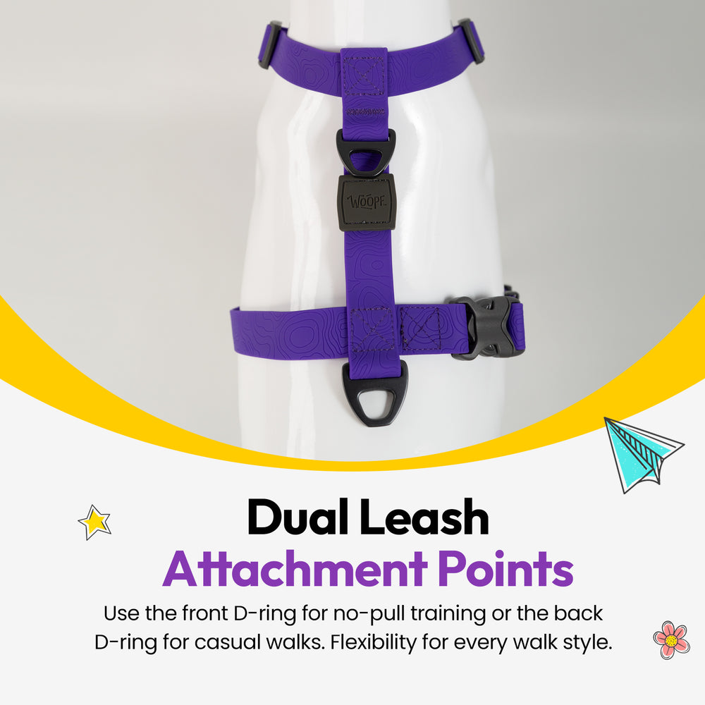 Sealskin Harness, Purple