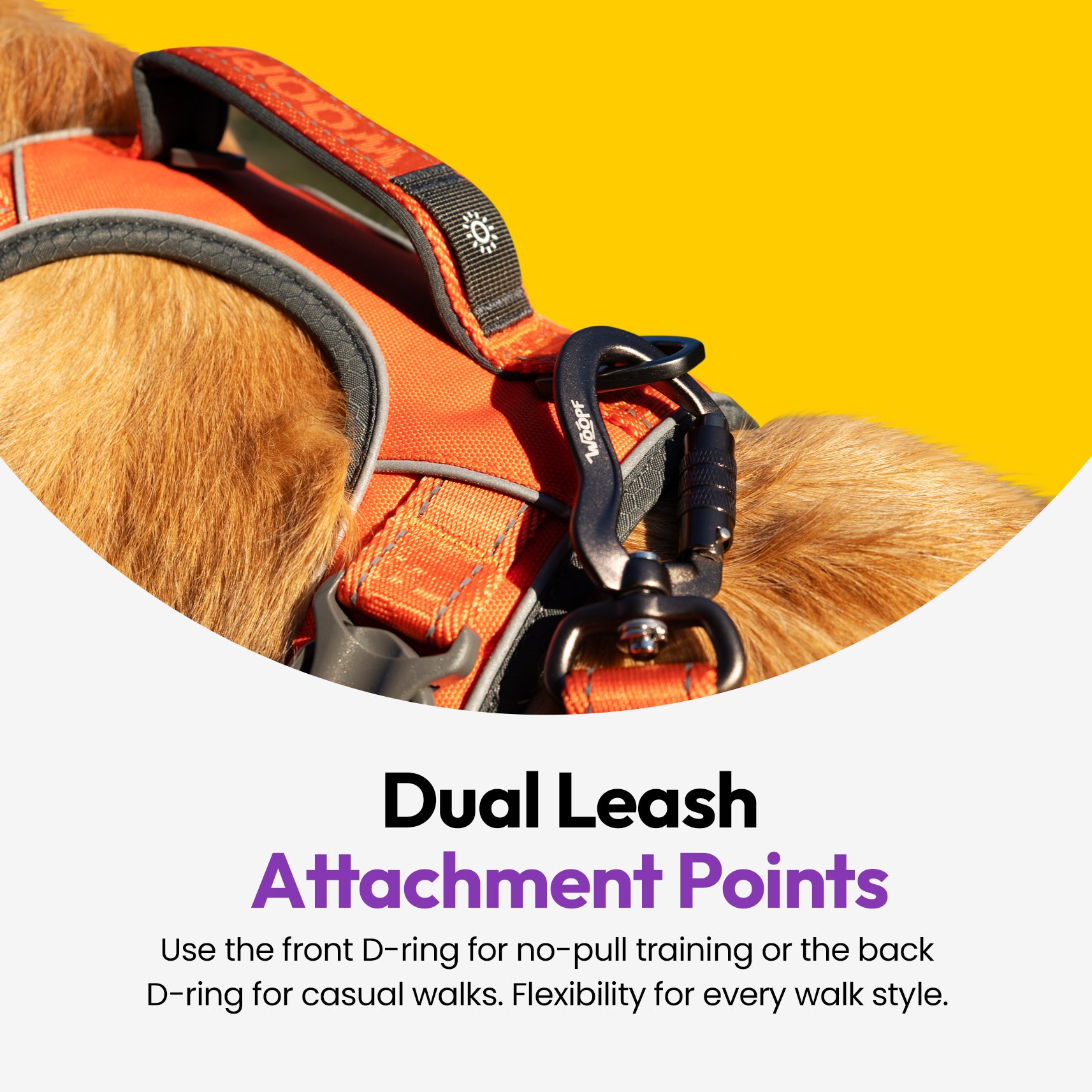 Entdecker Geschirr ohne Ziehen