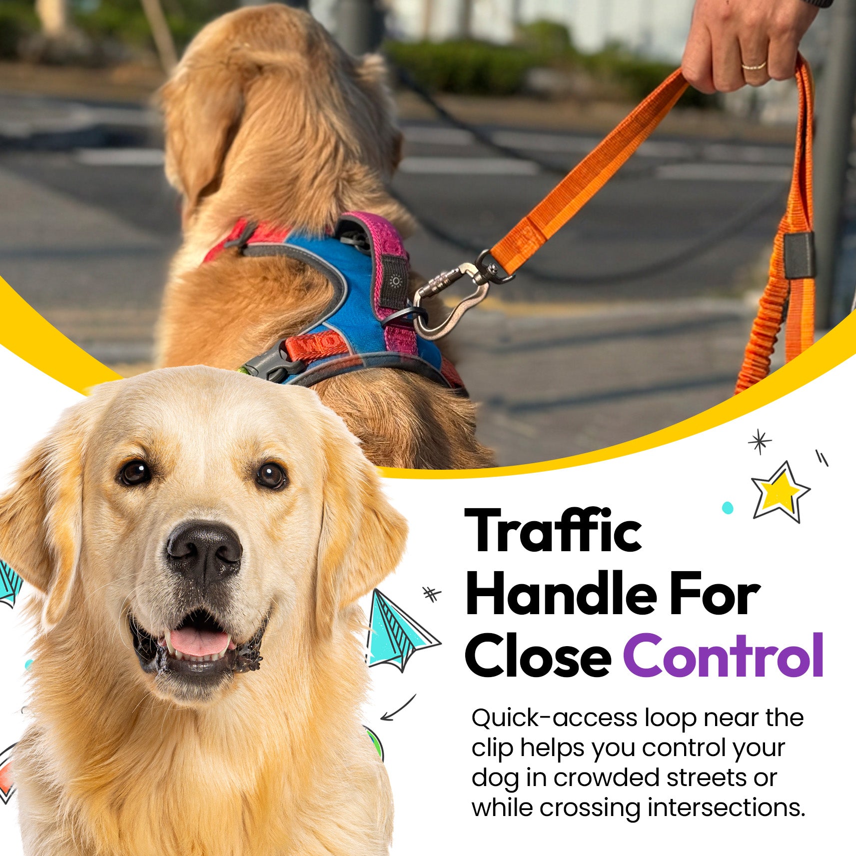 Laisse élastique d'explorateur