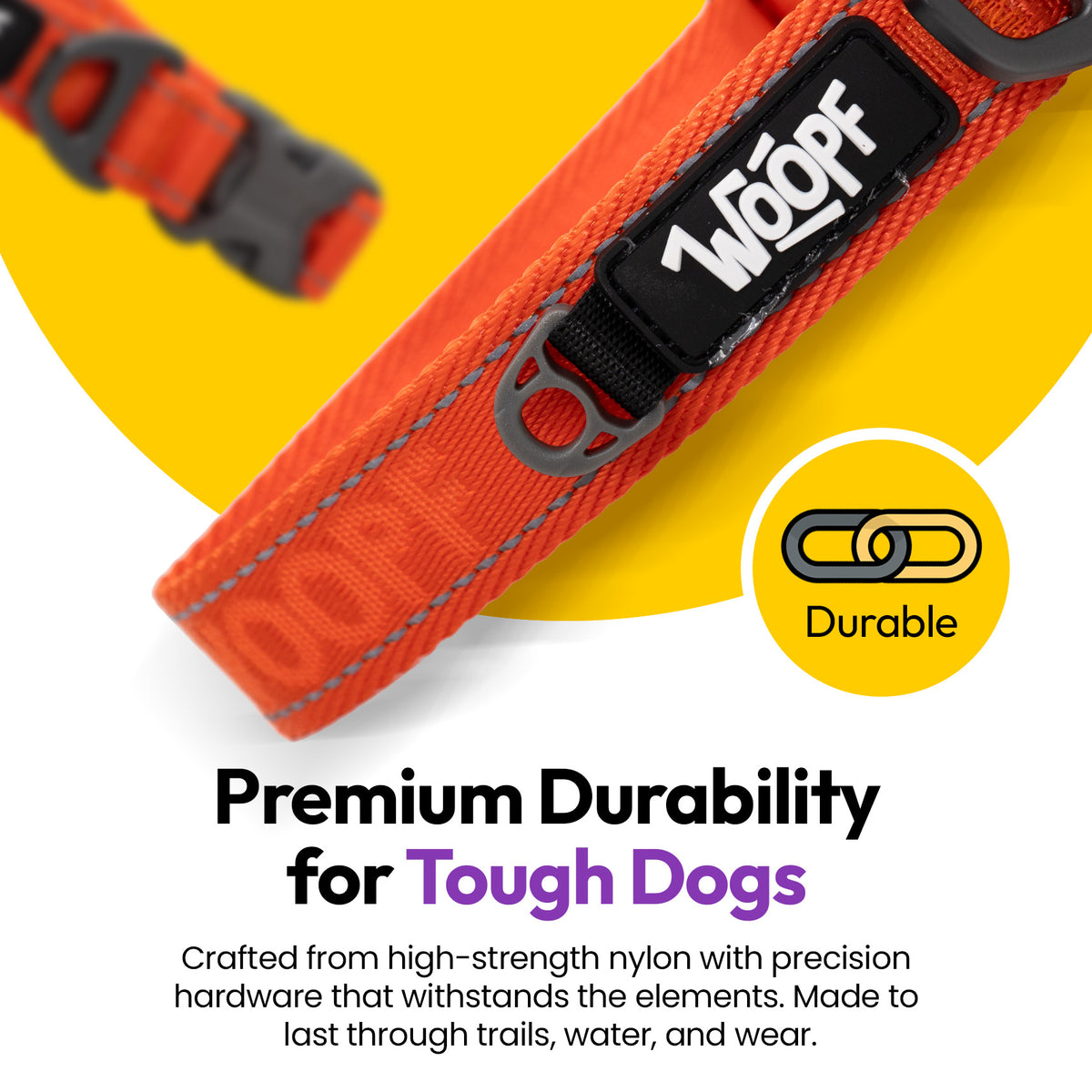 Orange | Explorer Collar: Close-up of the Orange collar's buckle and D-ring, on a card headed Premium Durability for Tough Dogs