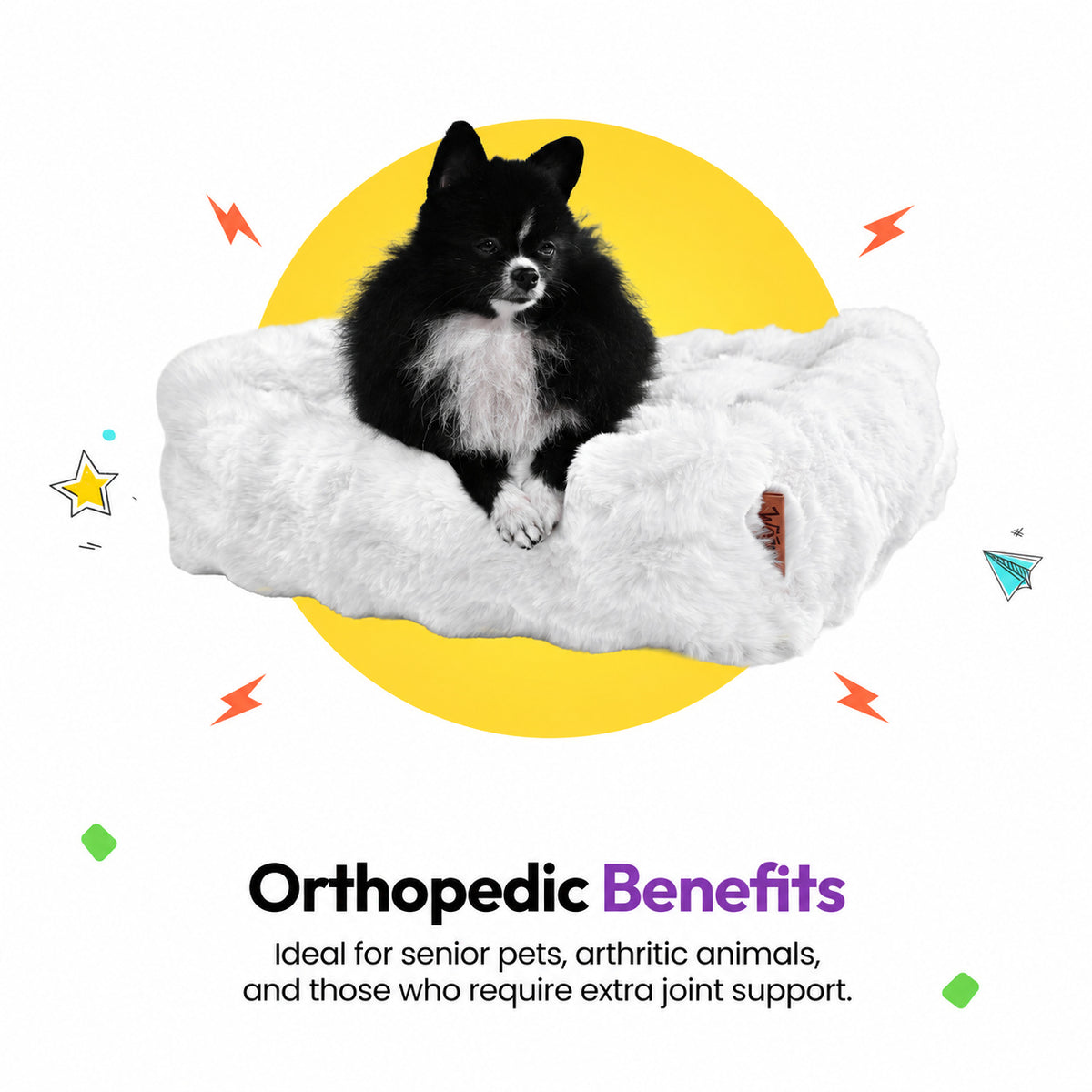 White | Furry Curves Rectangle Bed: Pomeranian in the White bed, headed Orthopedic Benefits