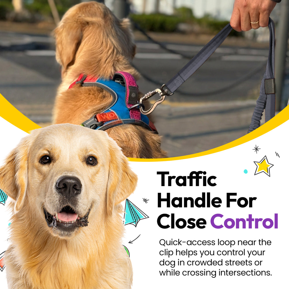 Explorer Bungee Leash, Grey