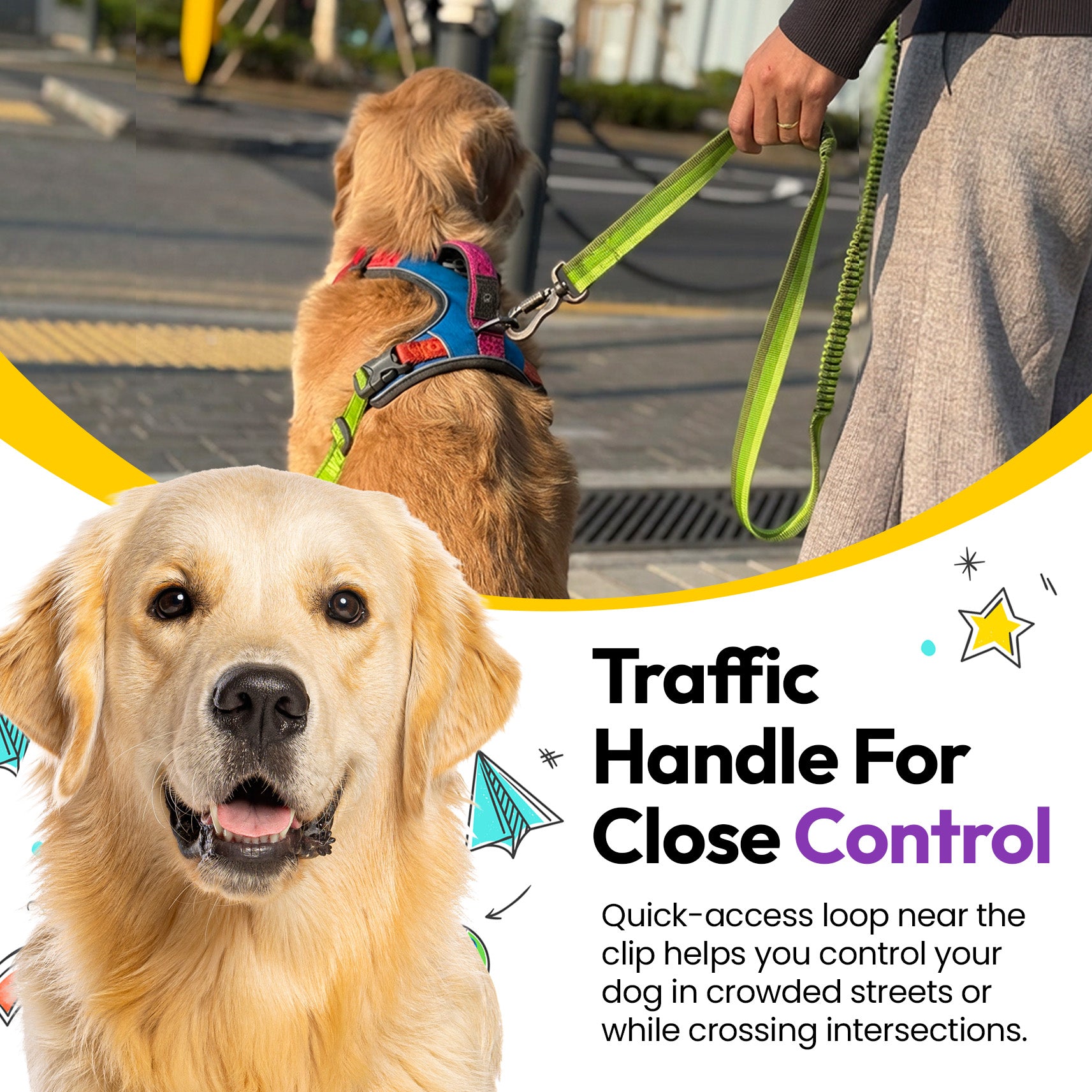 PADDY'S GARDEN BUNDLE