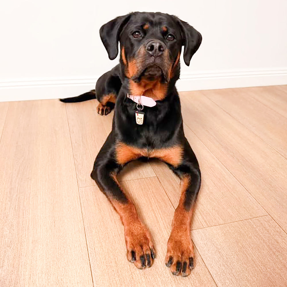 Smart ID Tag, Boba