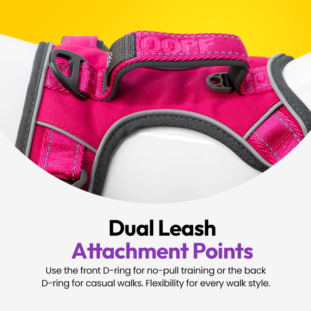 Explorer Harness, Pink