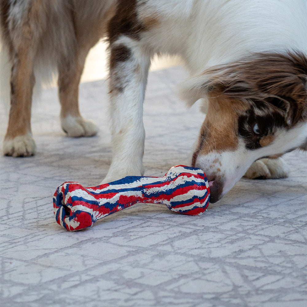Chewster Blocky Knochen, USA