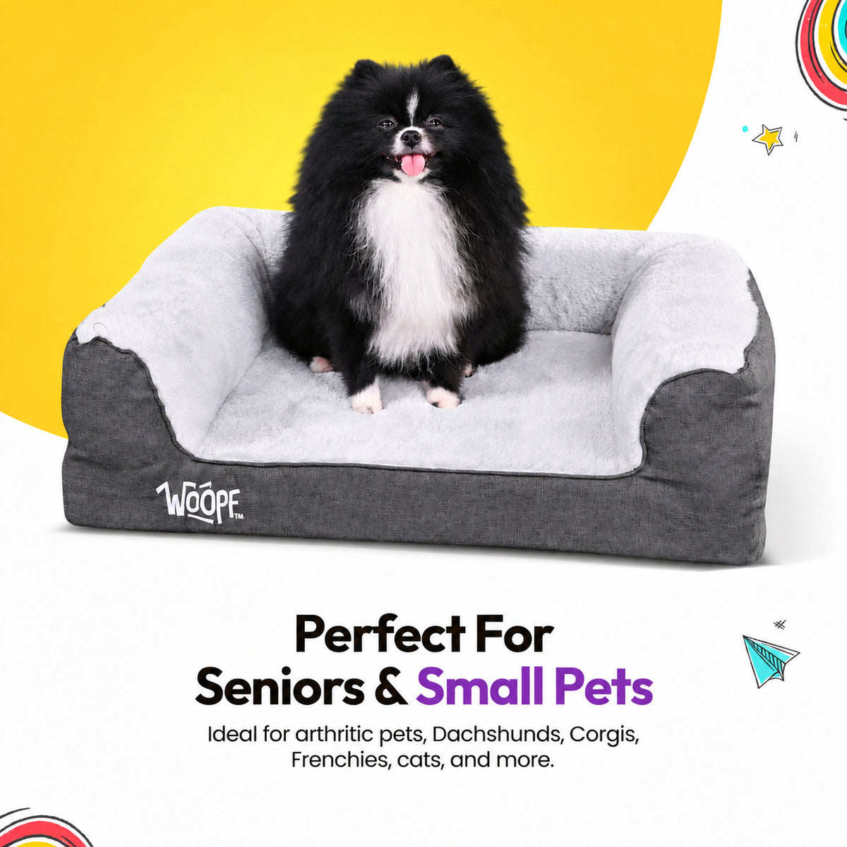 Grey | SNÖR Orthopedic Bed: Pomeranian on the Grey bed, headed Perfect For Seniors & Small Pets