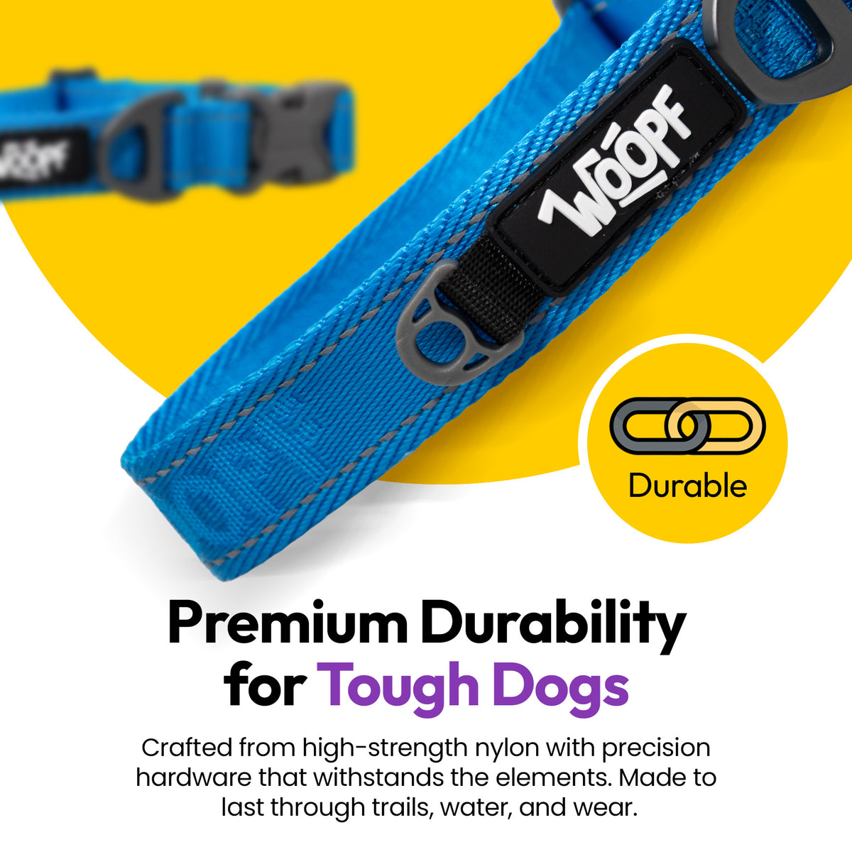 Blue | Explorer Collar: Close-up of the Blue collar's buckle and D-ring, on a card headed Premium Durability for Tough Dogs