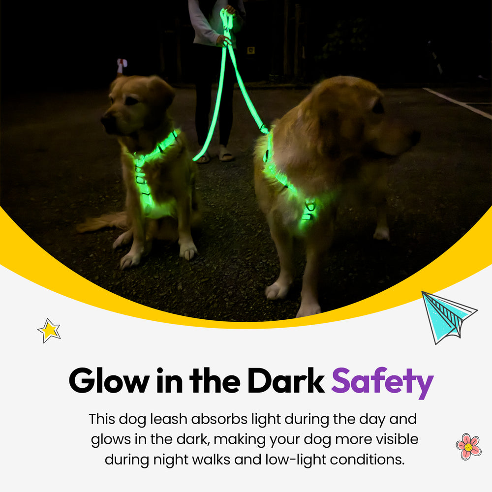 Sealskin Extendable Leash, Glow