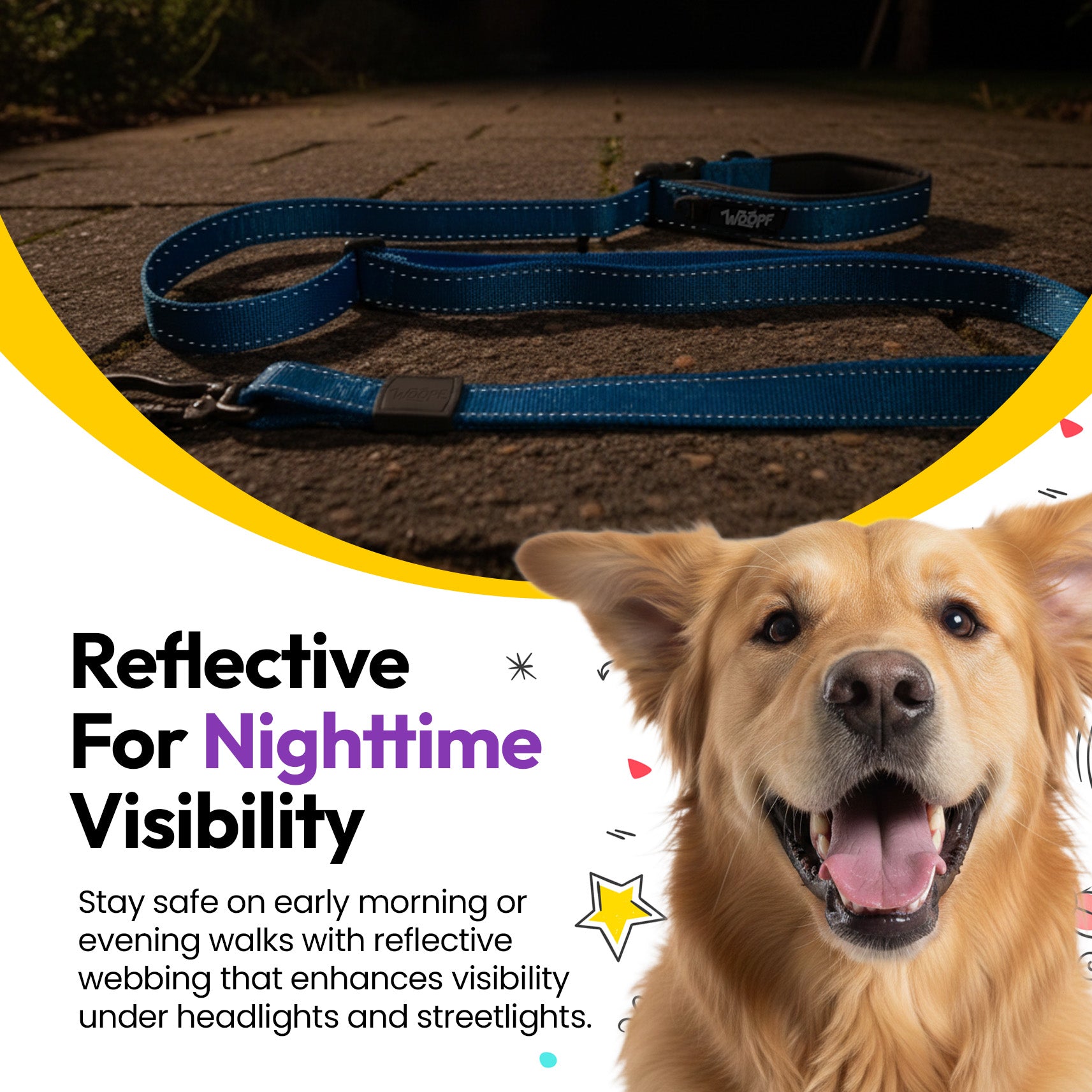 Laisse extensible Explorateur