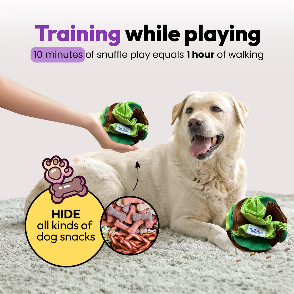Sniff & Snuffle Bundle, Green