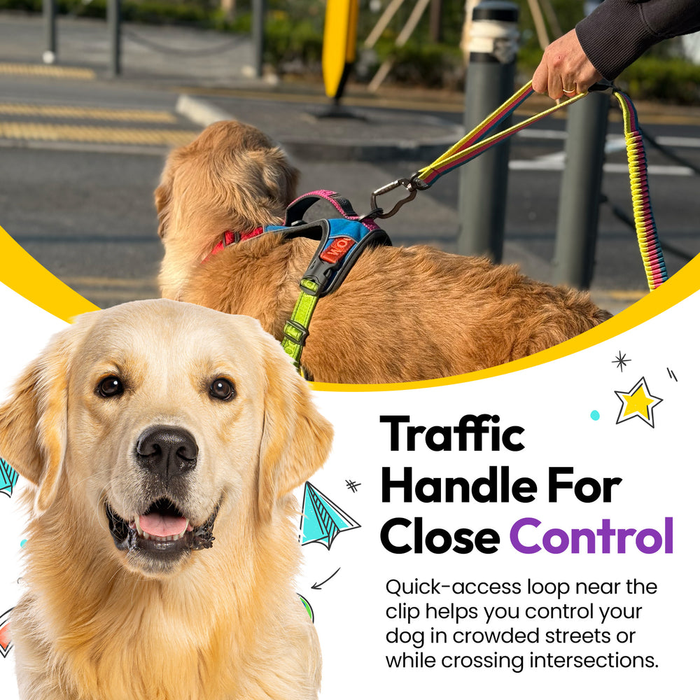 Explorer Bungee Leash, Rainbow