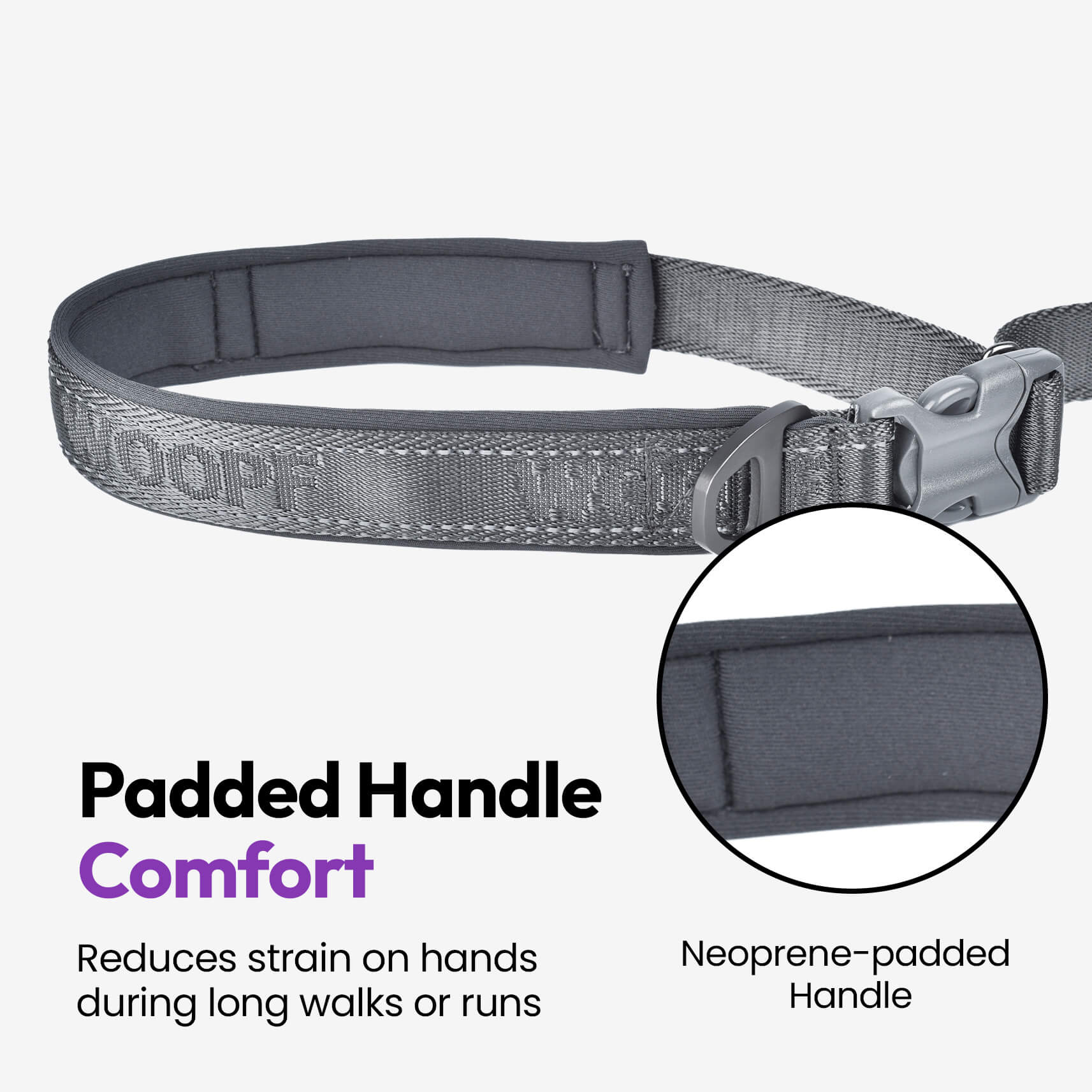 PAQUETE URBANO PARA PERROS