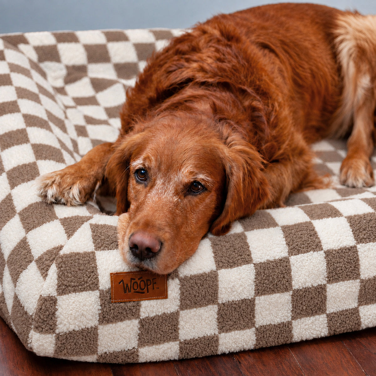 Brown | SNÜZ Bed Slip-On Cover Fleece: Golden retriever on the Brown cover, headed Perfect Fit For Woopf Orthopedic Range
