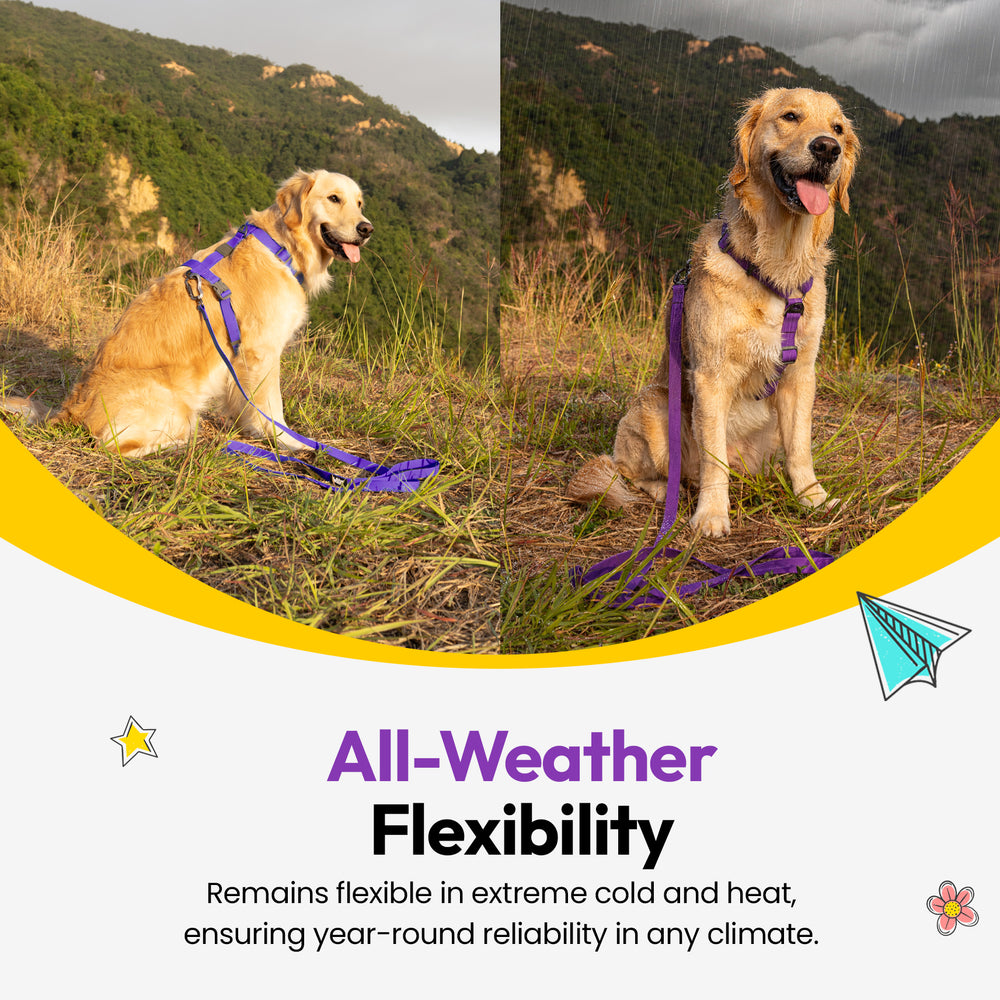 Sealskin Extendable Leash, Purple