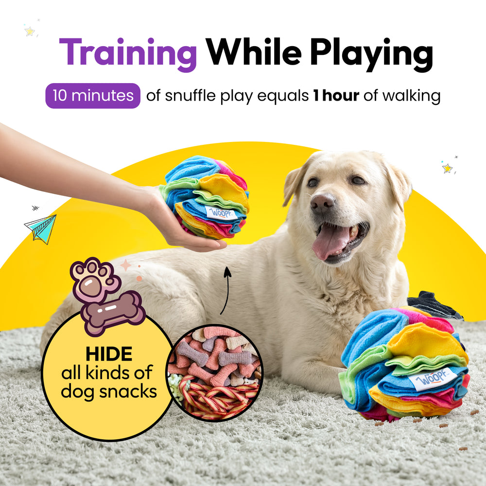 Snuffle Ball, Rainbow