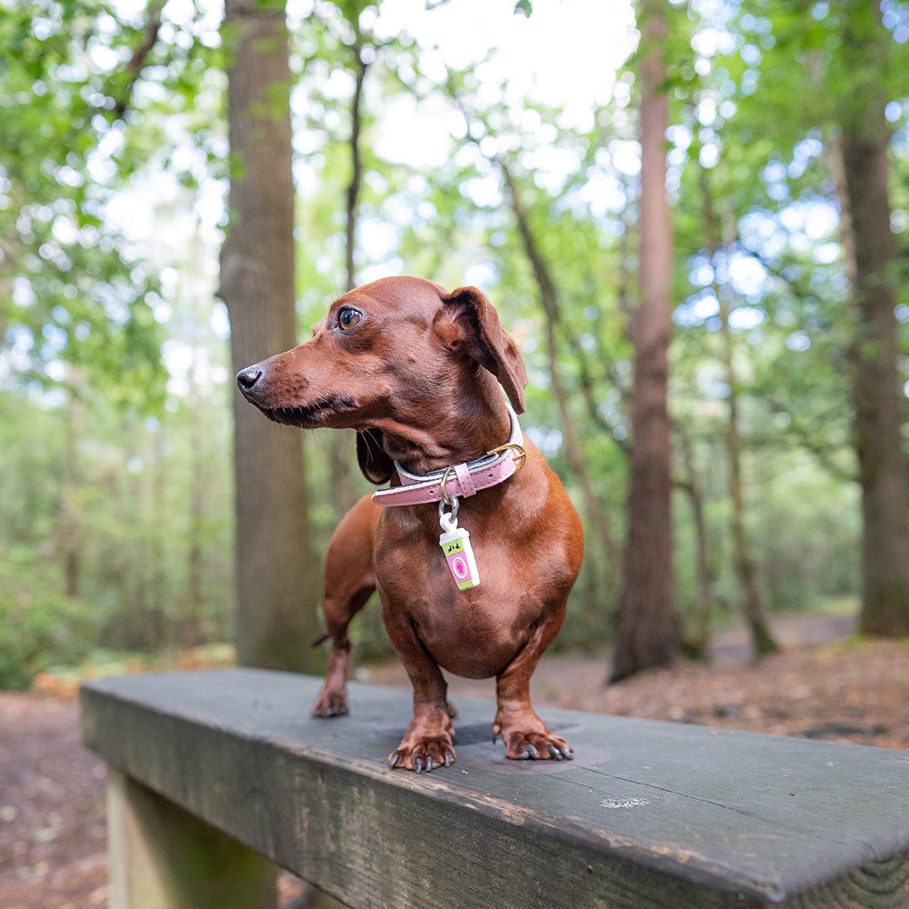 Smart ID Tag