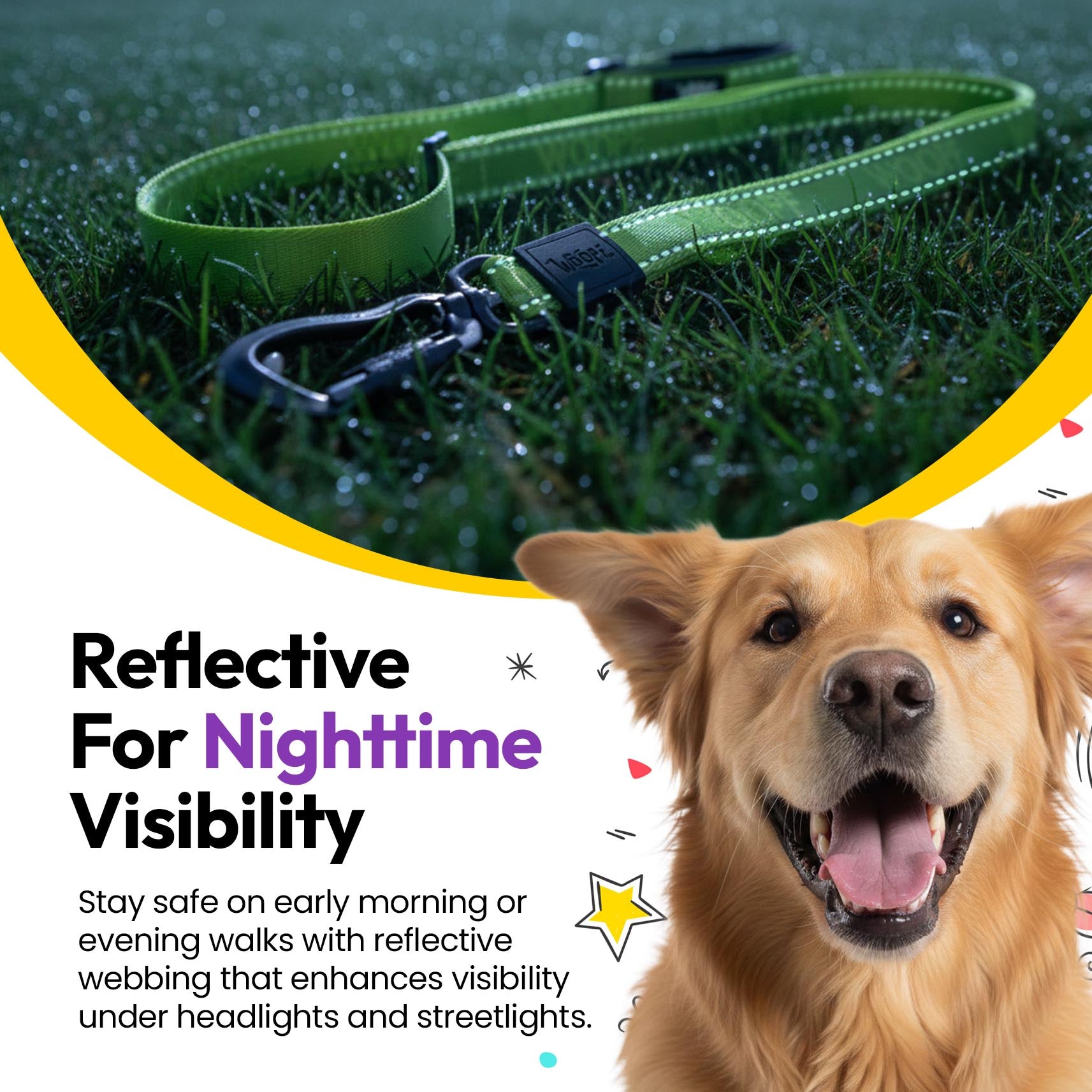 Laisse extensible Explorateur