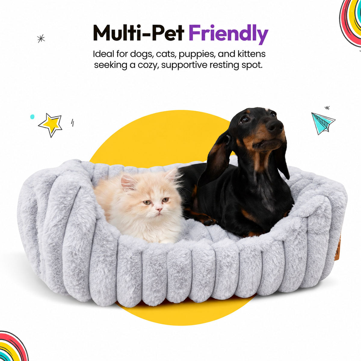 Grey | Furry Corduroy Open Front Rectangle Bed: Dachshund and a cream kitten in the Grey bed, headed Multi-Pet Friendly