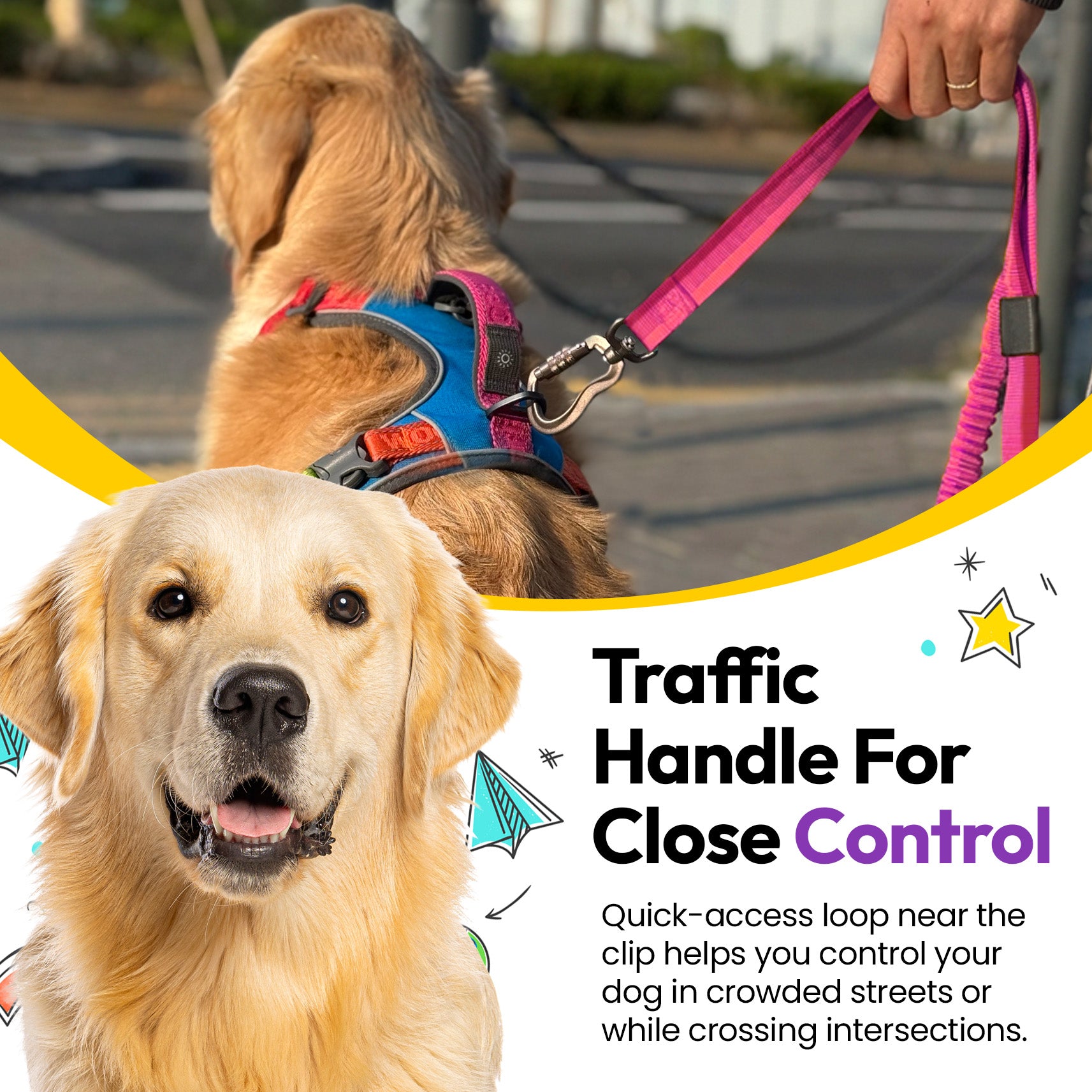 Laisse élastique d'explorateur