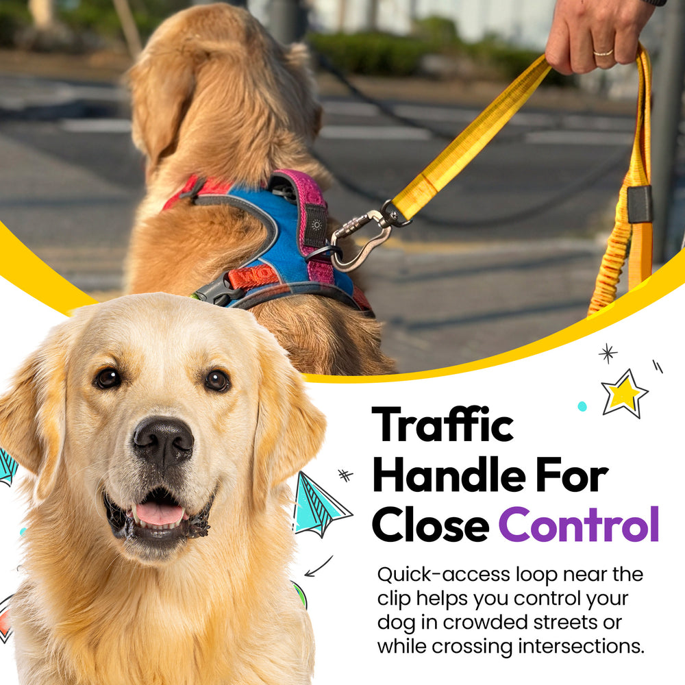 Explorer Bungee Leash, Yellow