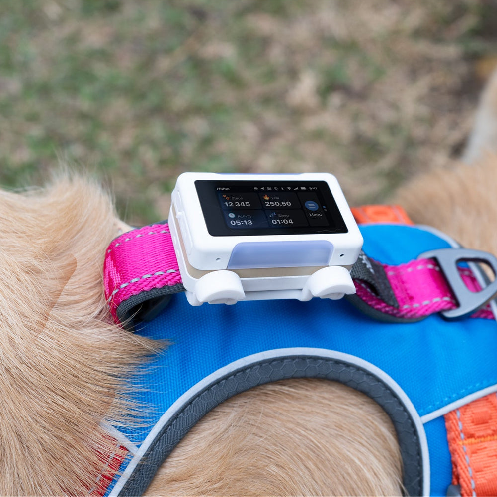 Smart GPS & Health Tracker, White / Gold