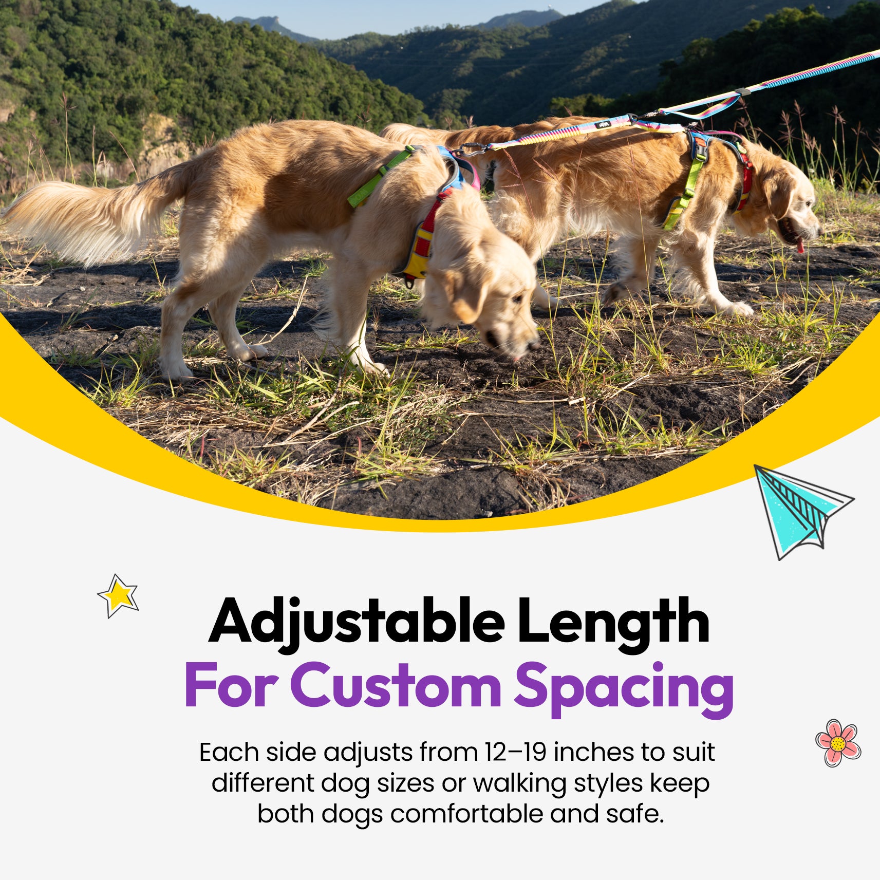 探検者二頭引き犬散歩紐連結具