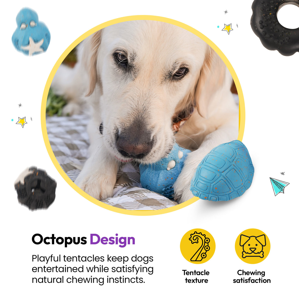 Black | Chewster Octopus: Golden retriever puppy chewing the Blue Octopus, on a card headed Octopus Design