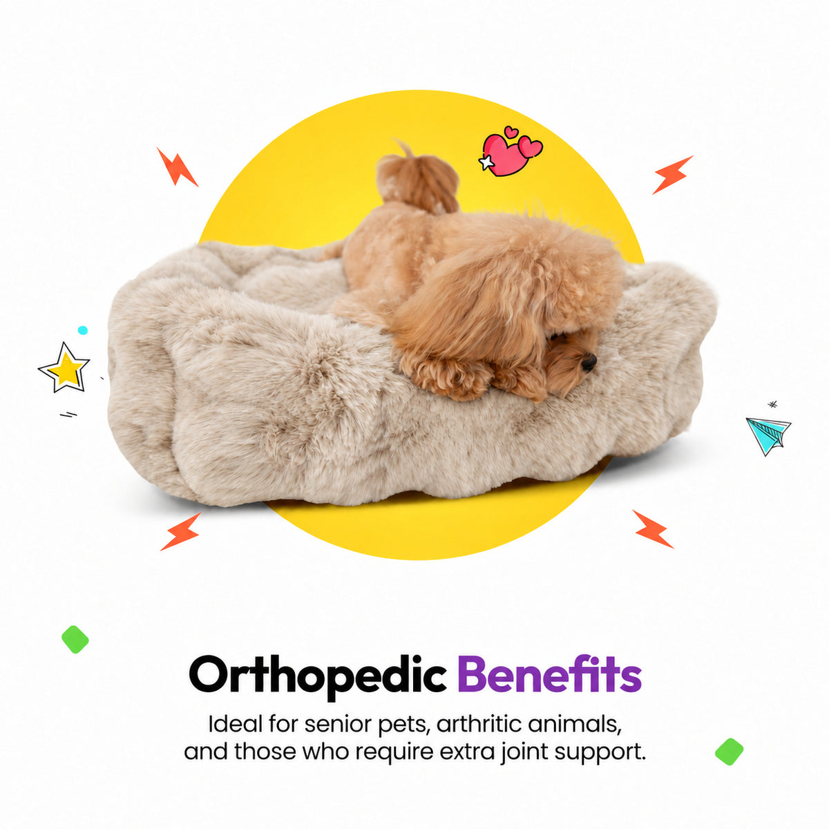 Cream | Furry Curves Rectangle Bed: Toy poodle in the Cream bed, headed Orthopedic Benefits