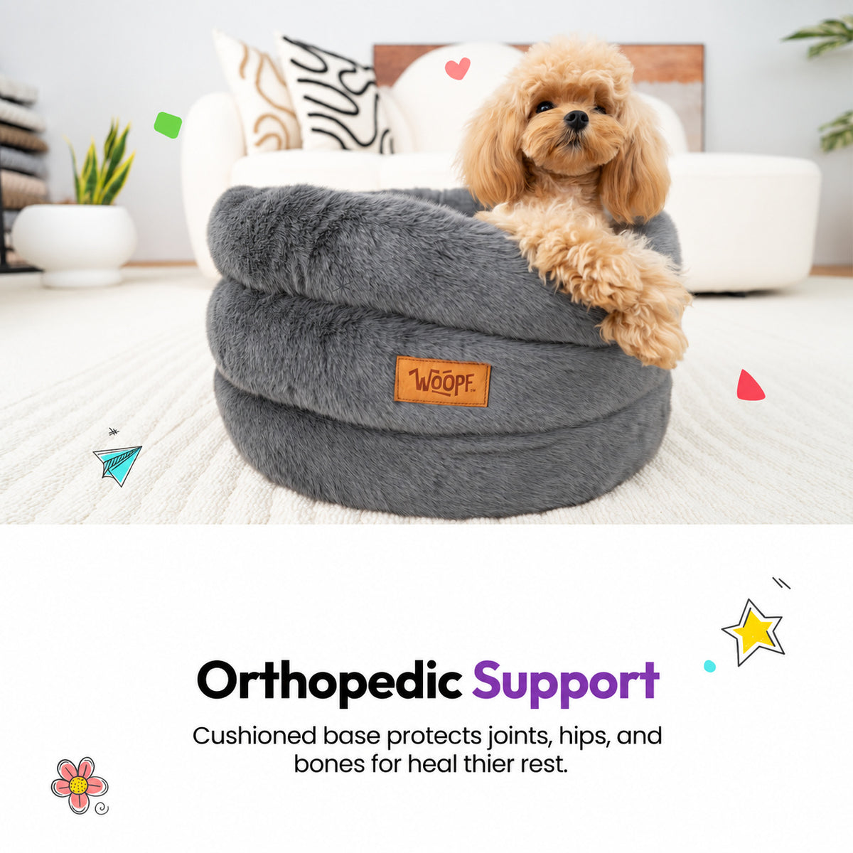 Grey | Furry Range Round Bed: Poodle leaning over the rim of the Grey bed in a living room, on a graphic card