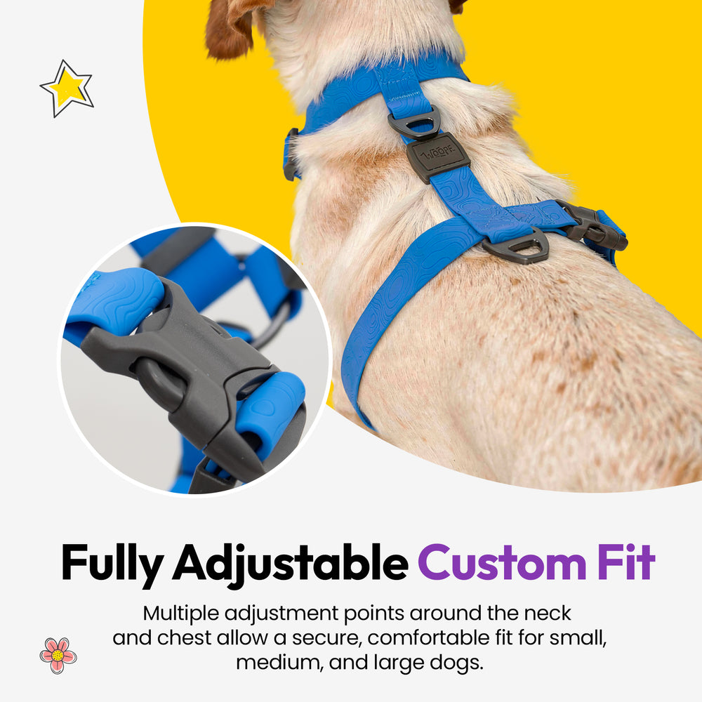 Sealskin Harness, Blue