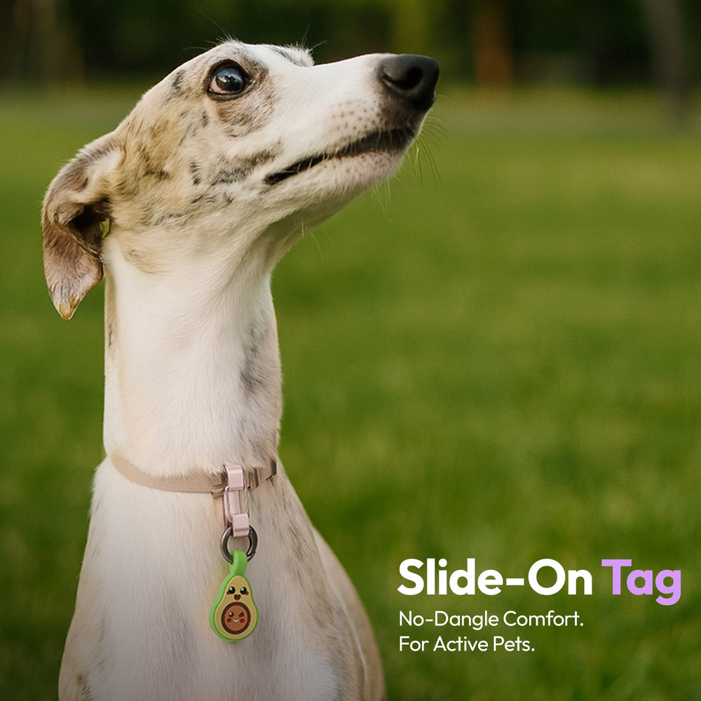 Tag & Sniff Bundle, Avocado