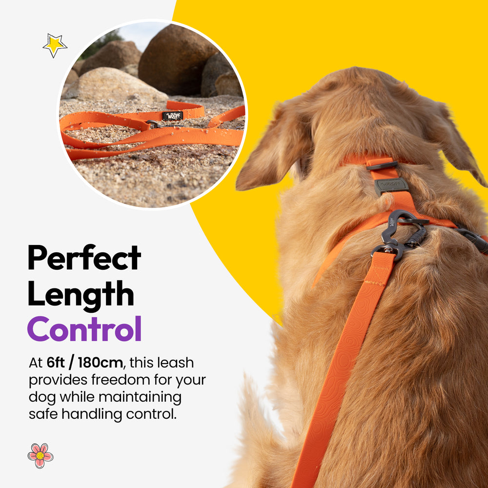 Sealskin Extendable Leash, Orange
