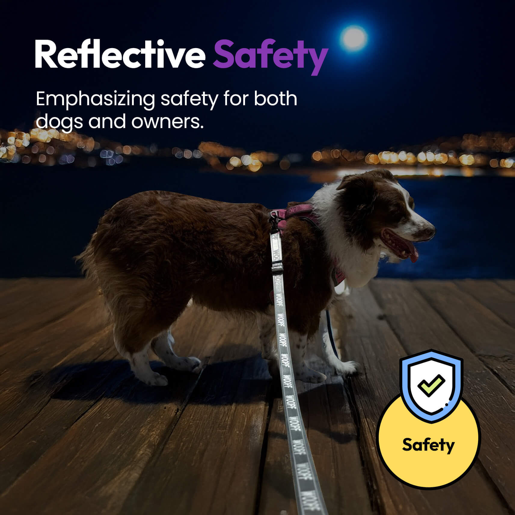 PAQUETE URBANO PARA PERROS