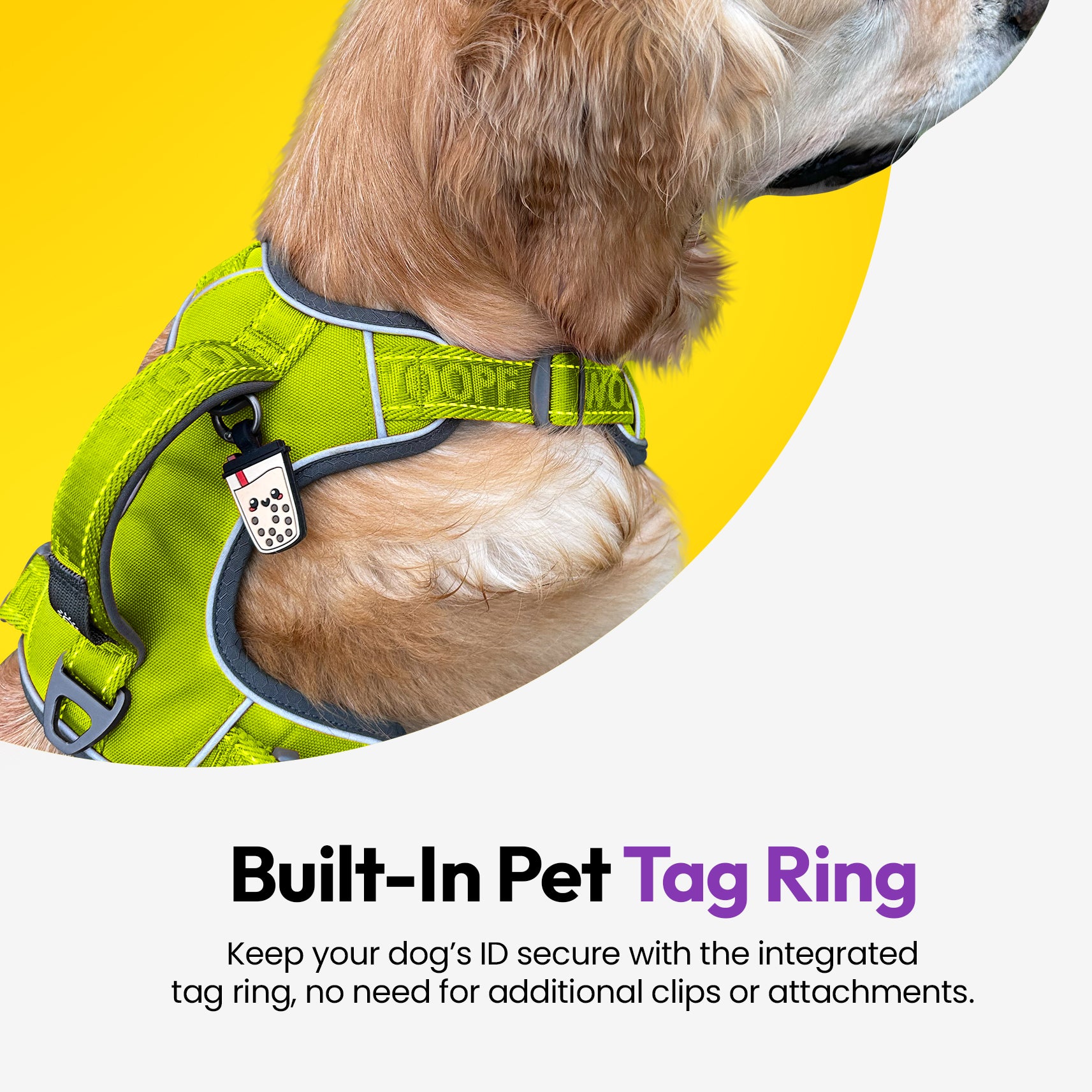 PADDY'S GARDEN BUNDLE