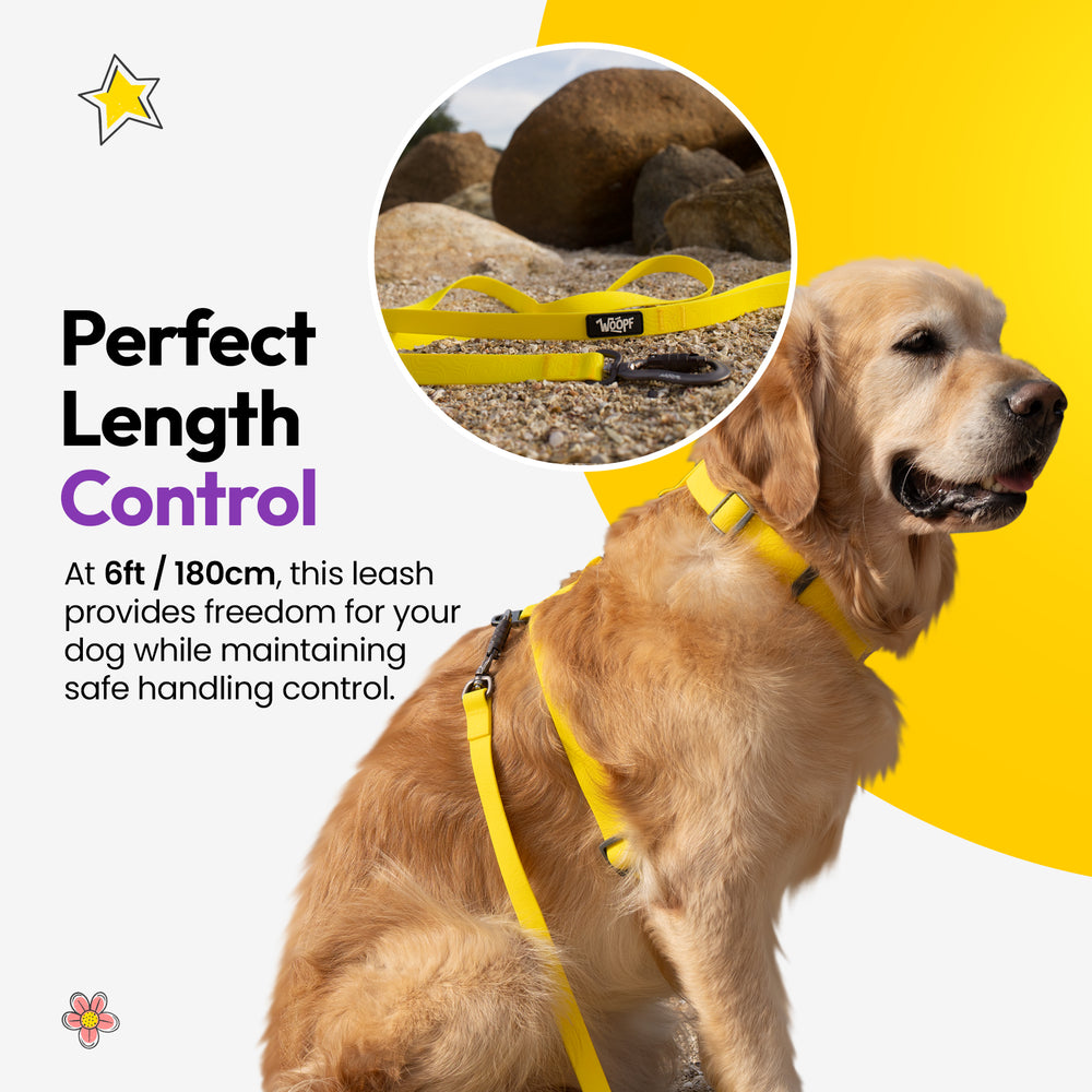 Sealskin Extendable Leash, Yellow