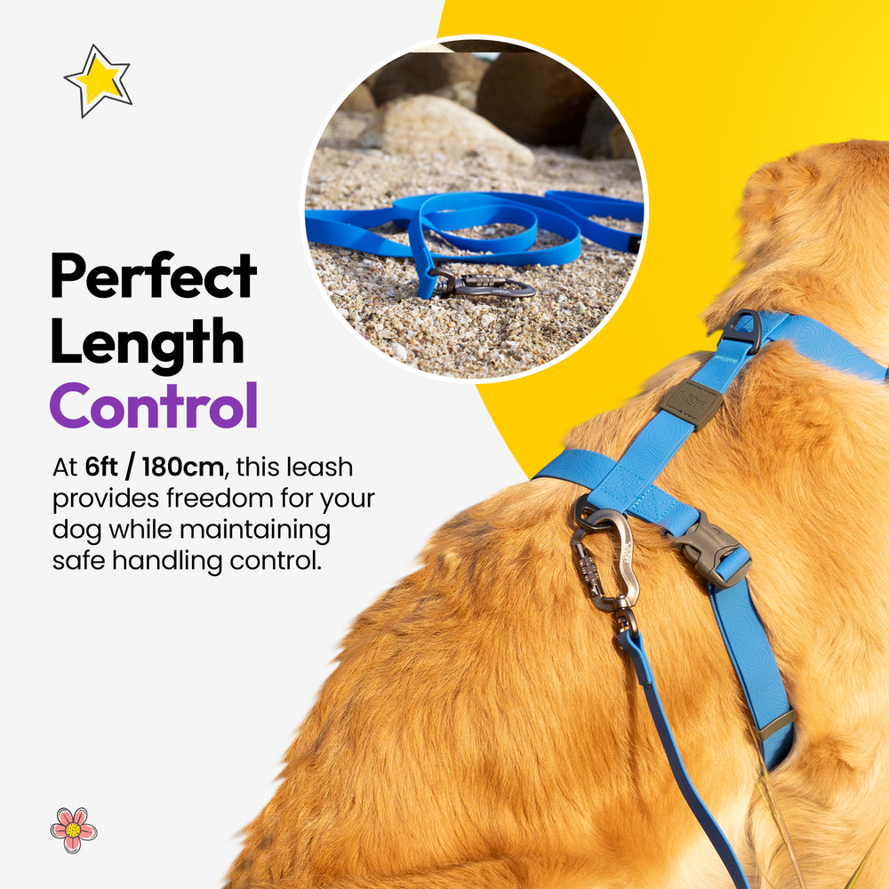 Sealskin Extendable Leash, Blue