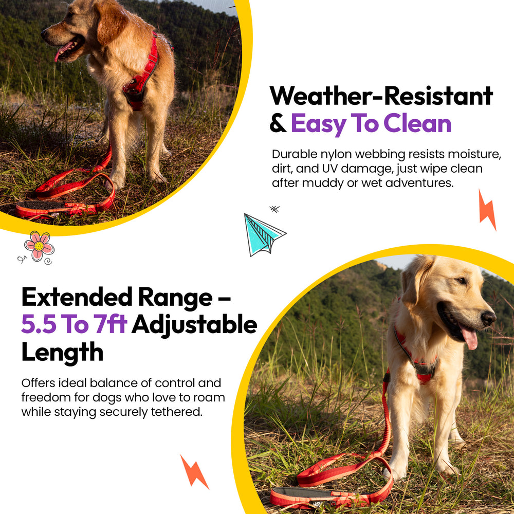 Explorer Bungee Leash, Red