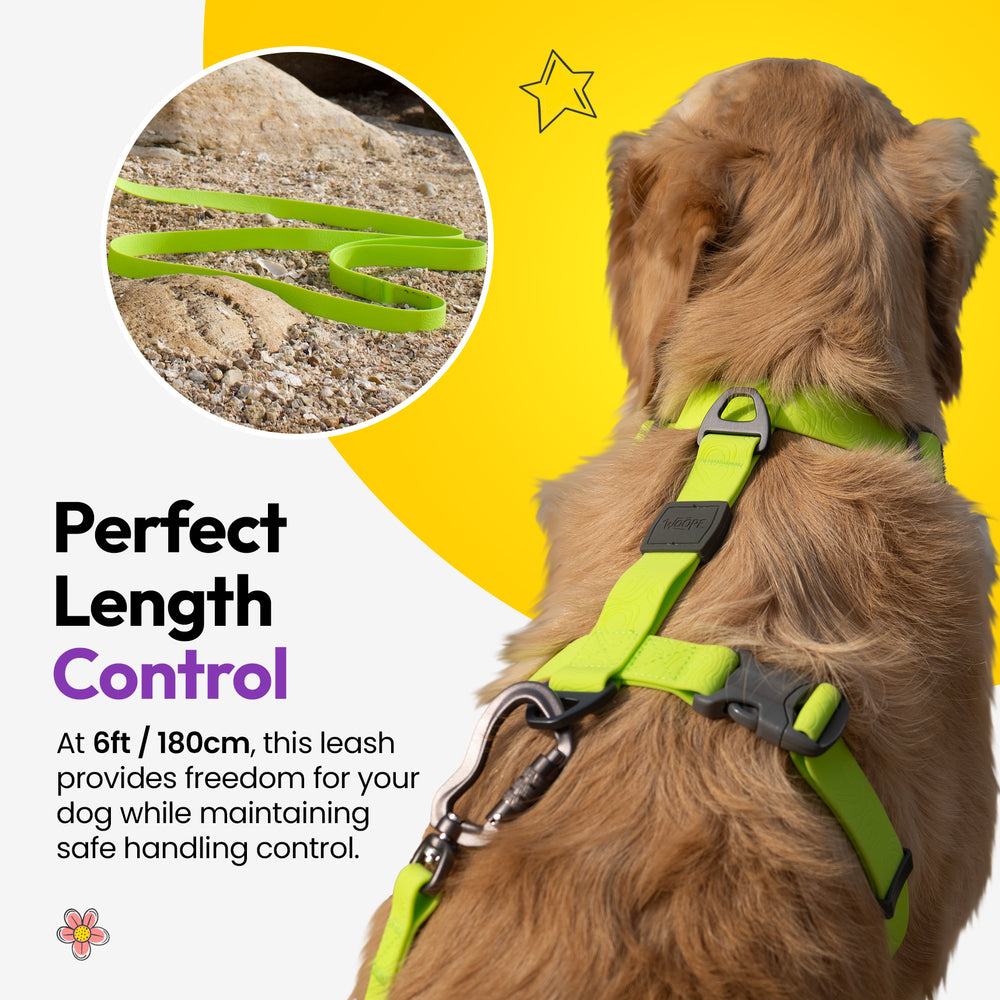 Sealskin Extendable Leash, Green