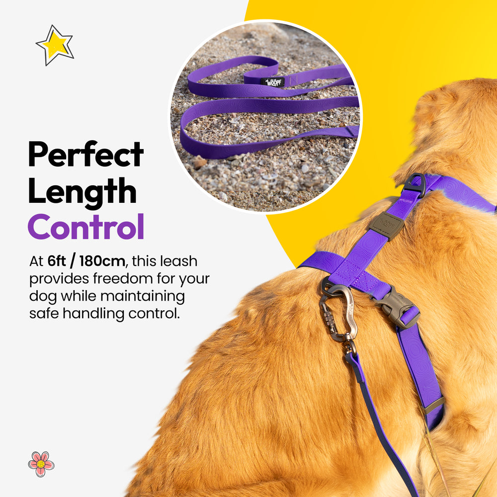 Sealskin Extendable Leash, Purple